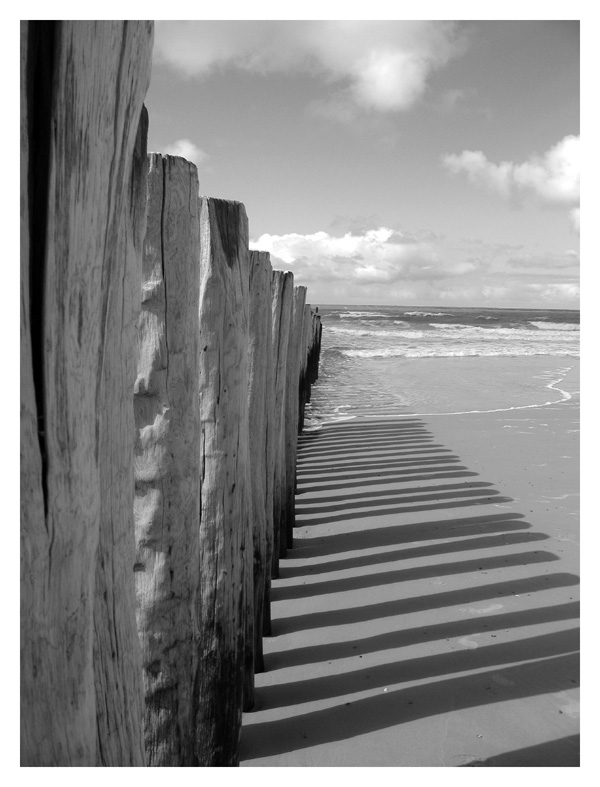 Am Strand in Holland ...