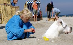 Am Strand in Schönberg - Kalifornien Inka aus Otzberg