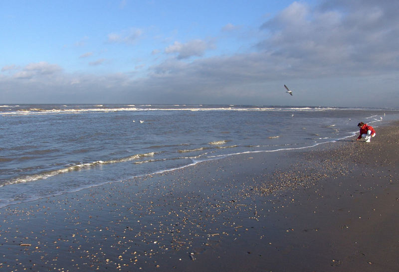 Am Strand in Zandvoort