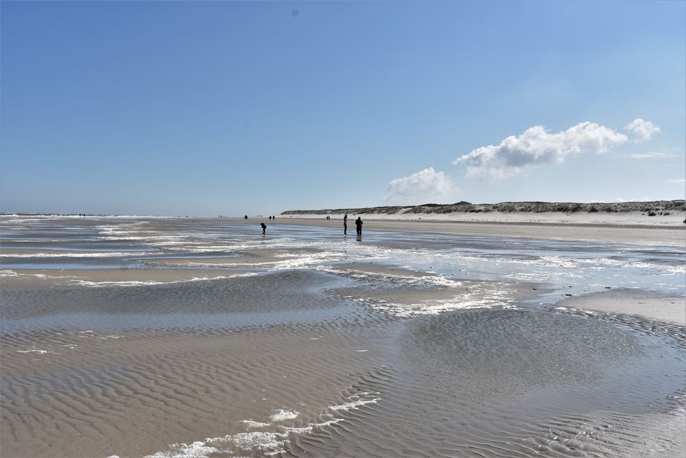Strand Niedersachsen Strand Niedersachsen