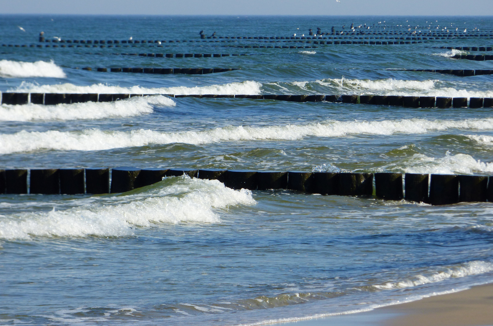 Am Strand in Zinnowitz  