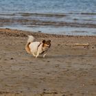 "am Strand laufe ich immer zur Hoechstform auf..."