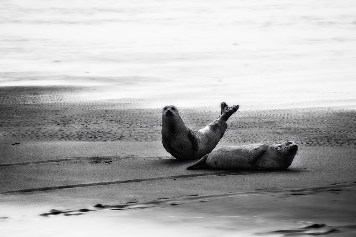 Am Strand mit Tele