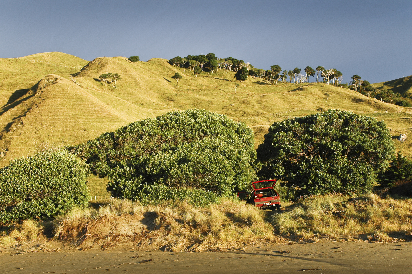 Am Strand, Nähe Gisborne, Neuseeland.