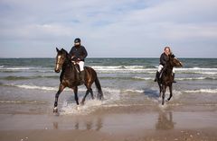 Am Strand reiten