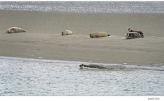 Am Strand rumliegen...