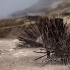 Am Strand - Stimmungen auf Sylt