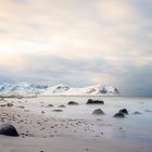 Am strand Strand von Haukland.