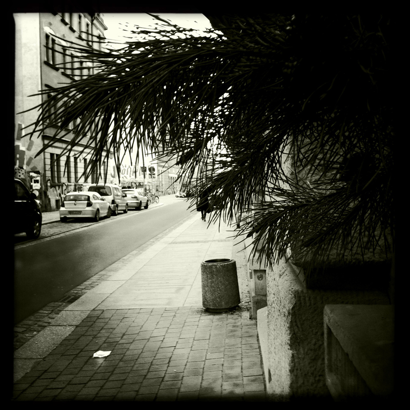 am Strand unter Palmen