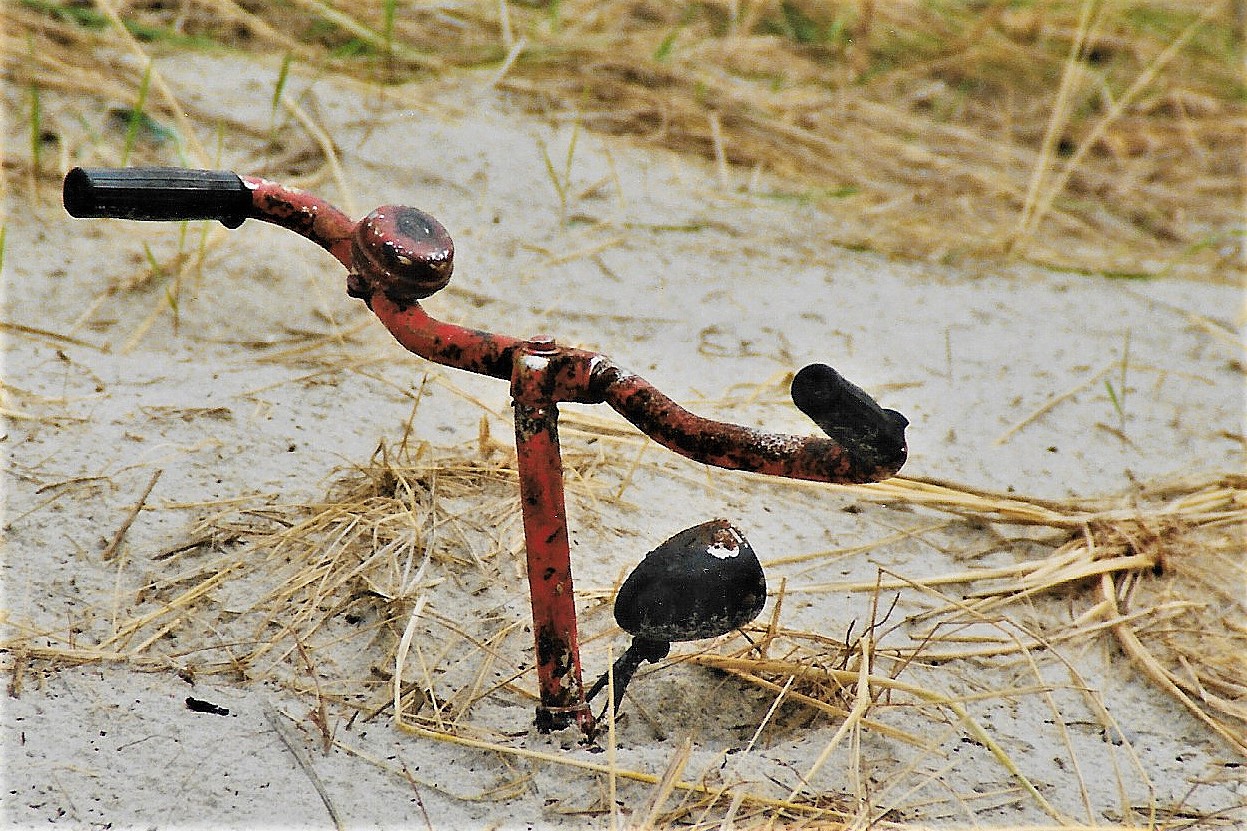 Am Strand vergessen?