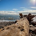 Am Strand vom Jasmunder Natioanalpark auf Rügen