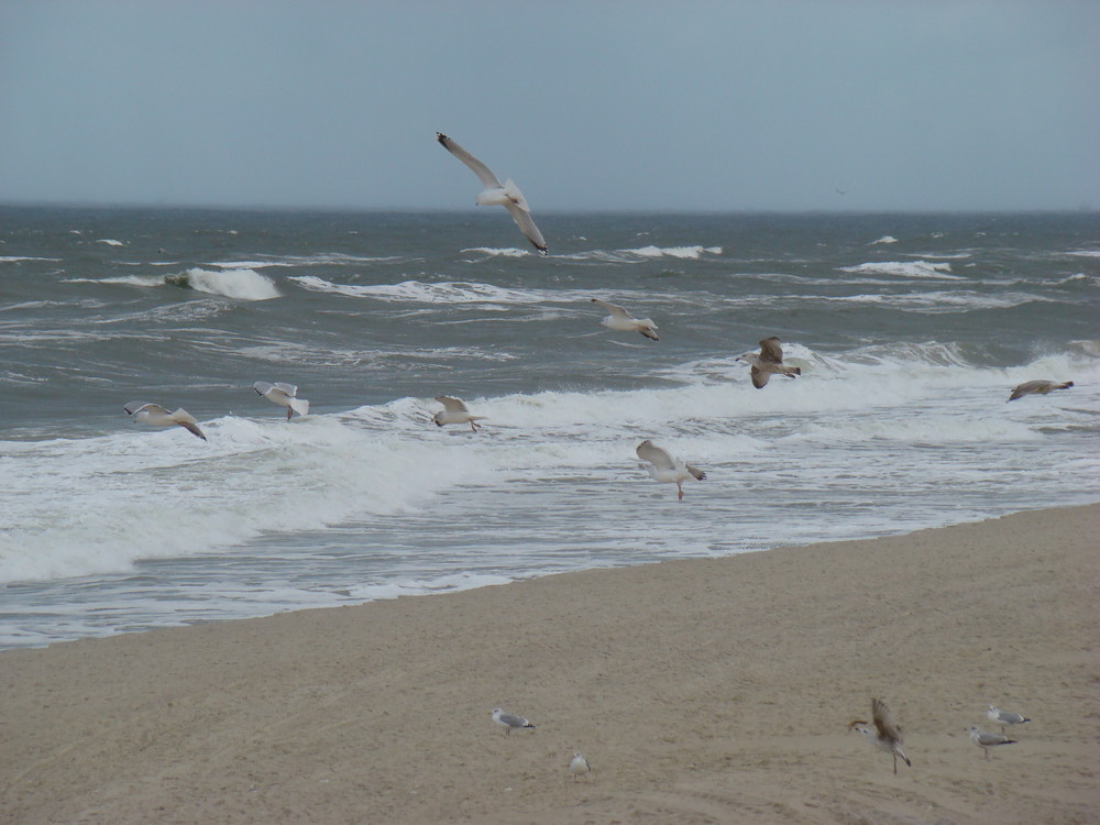 am Strand vom Kampen