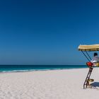 Am Strand von Abu Dhabi