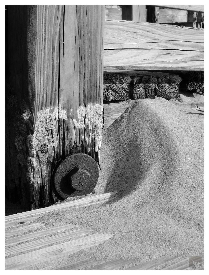 Am Strand von Ahrenshoop