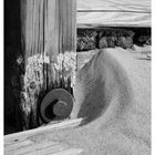 Am Strand von Ahrenshoop