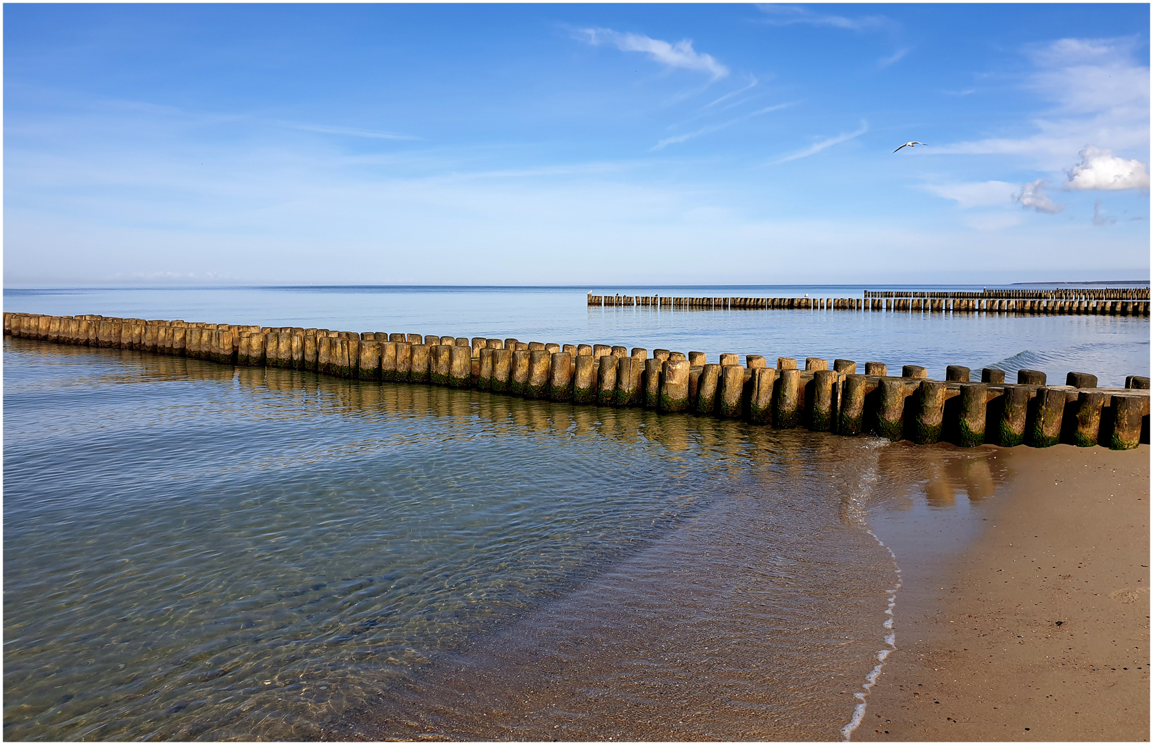 Am Strand von Ahrenshoop (III)