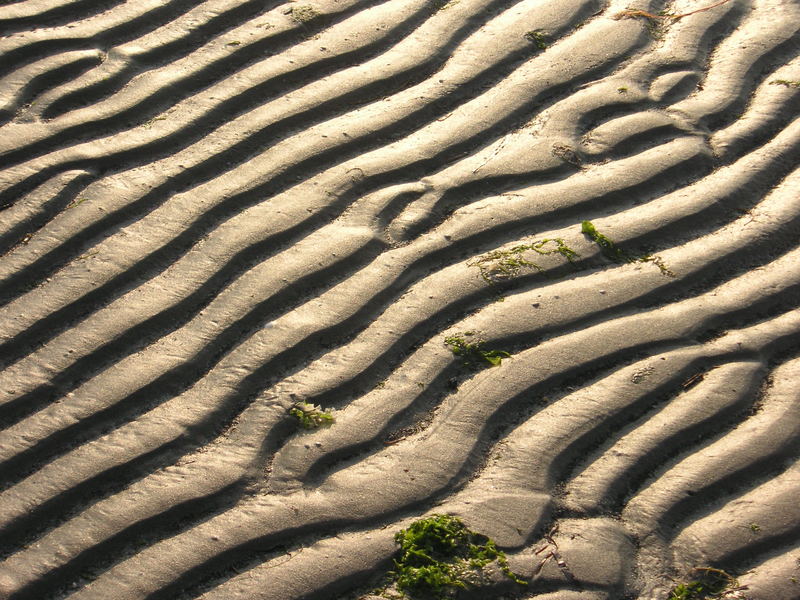 ... am Strand von Albarella