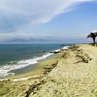 Am Strand von Aleria III