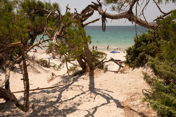 Am Strand von Alghero (Sardinien)