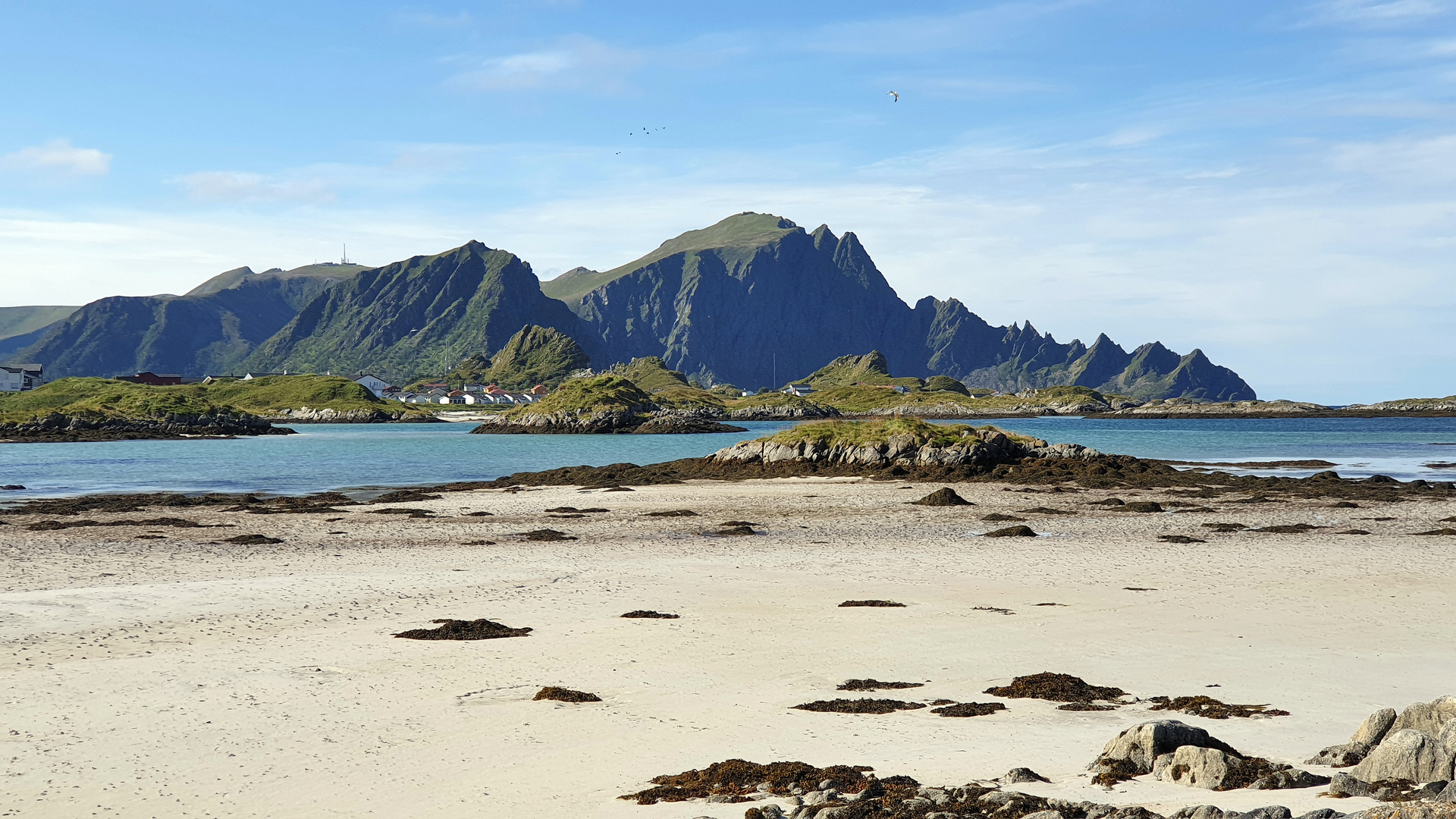 am Strand von Andenes 