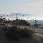 Am Strand von Badesi Mare