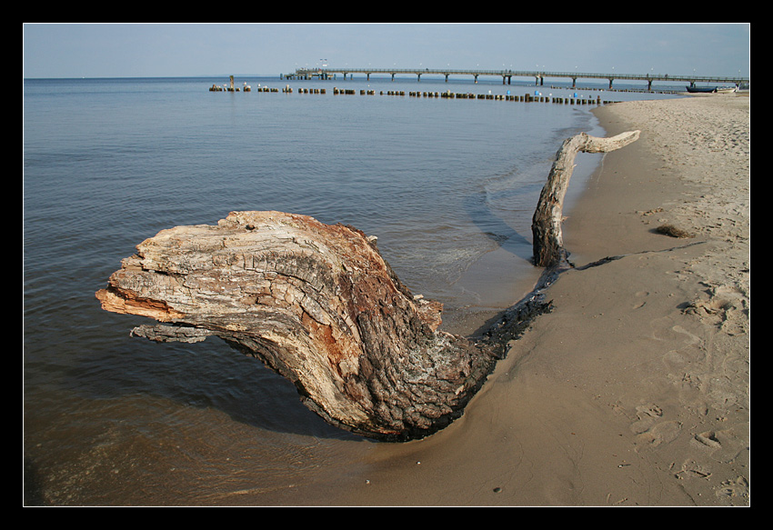 Am Strand von Bansin (Usedom)