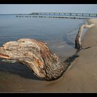 Am Strand von Bansin (Usedom)