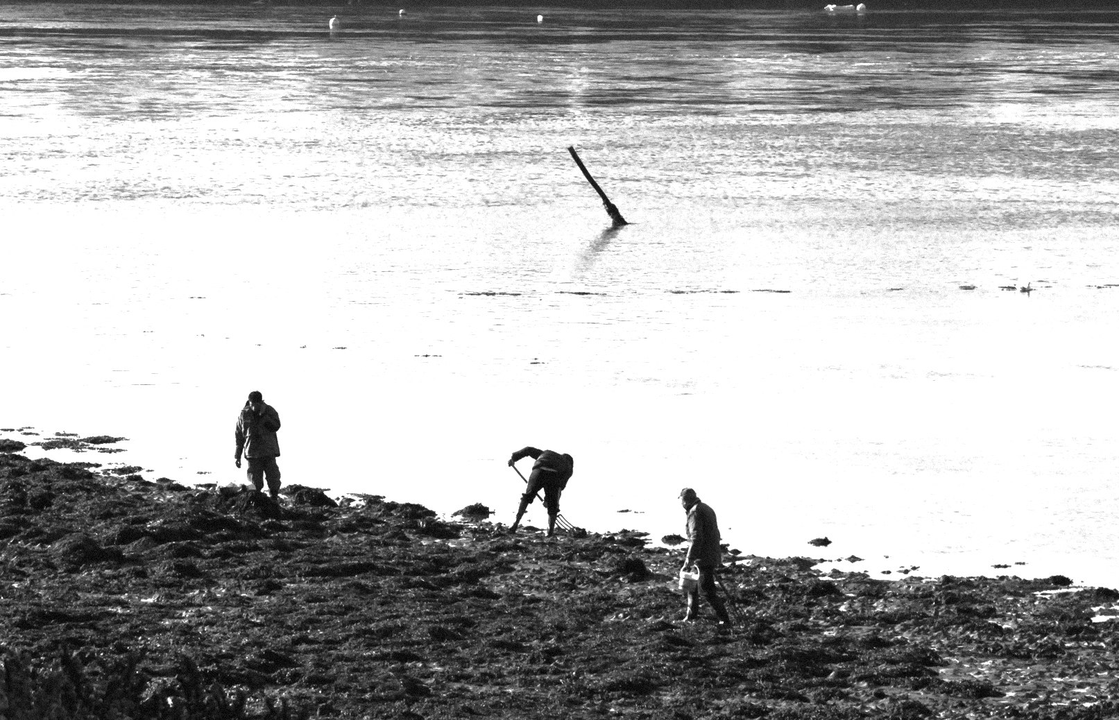 Am Strand von Bélz (Südbretagne)