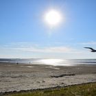 ... am Strand von Bensersiel