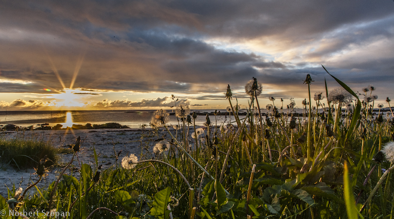 Am Strand von Bleik