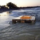 am Strand von Boltenhagen entdeckt :) Teil 2