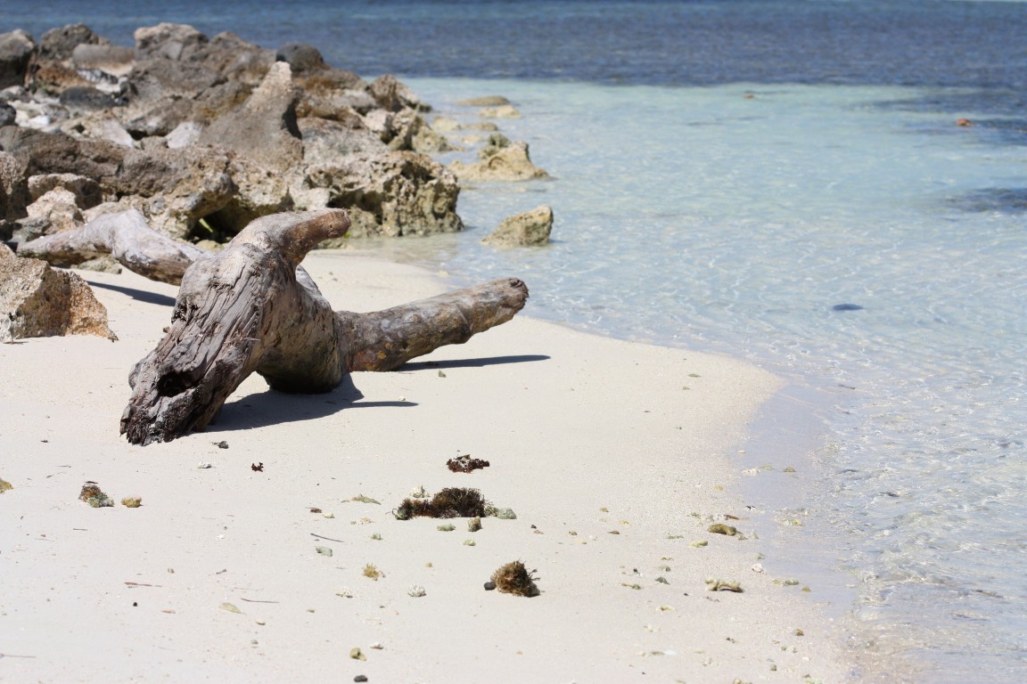 Am Strand von Bonaire