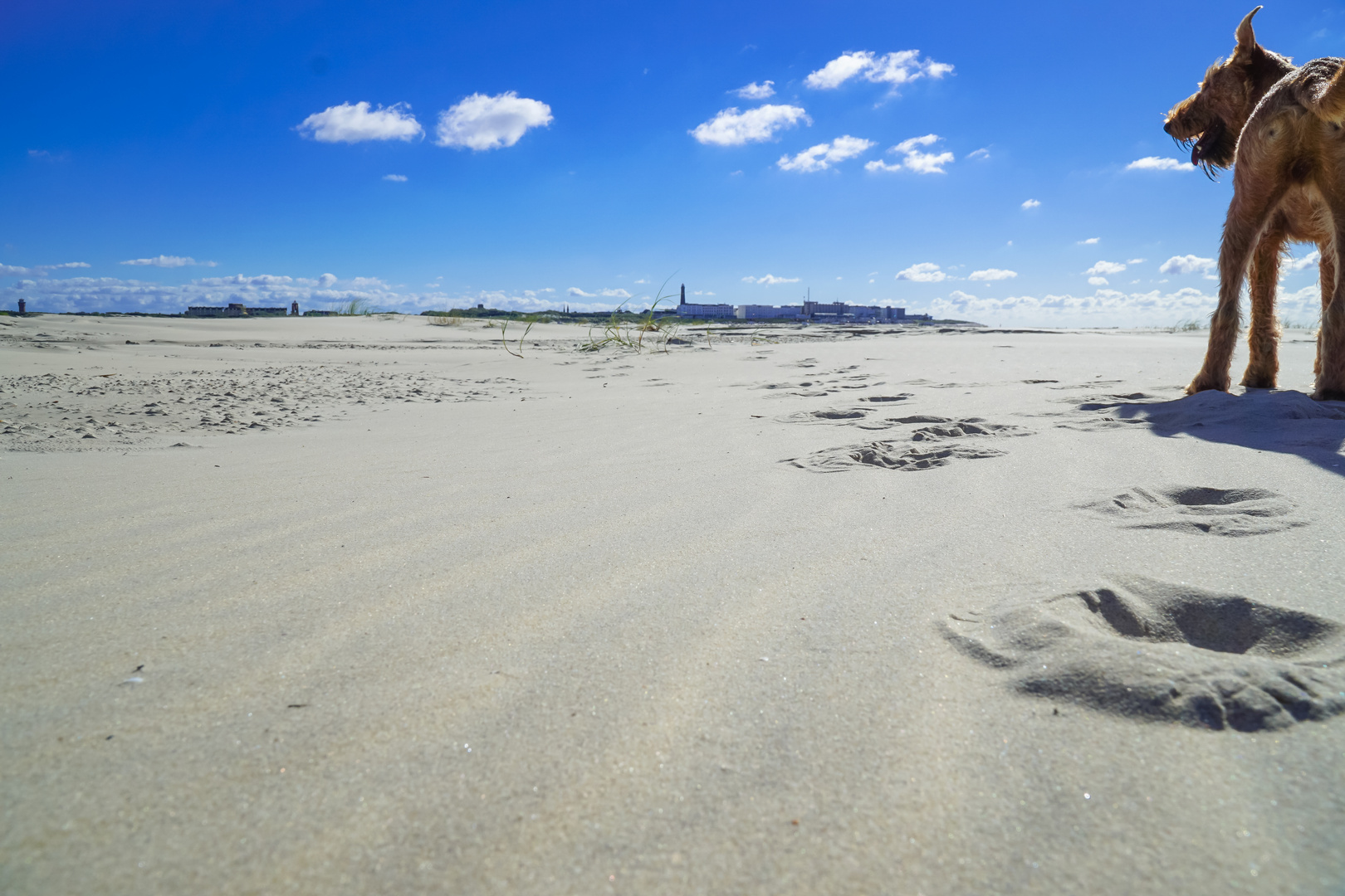 Am Strand von Borkum