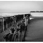 Am Strand von Breskens