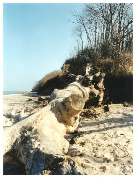 Am Strand von Brook - #1