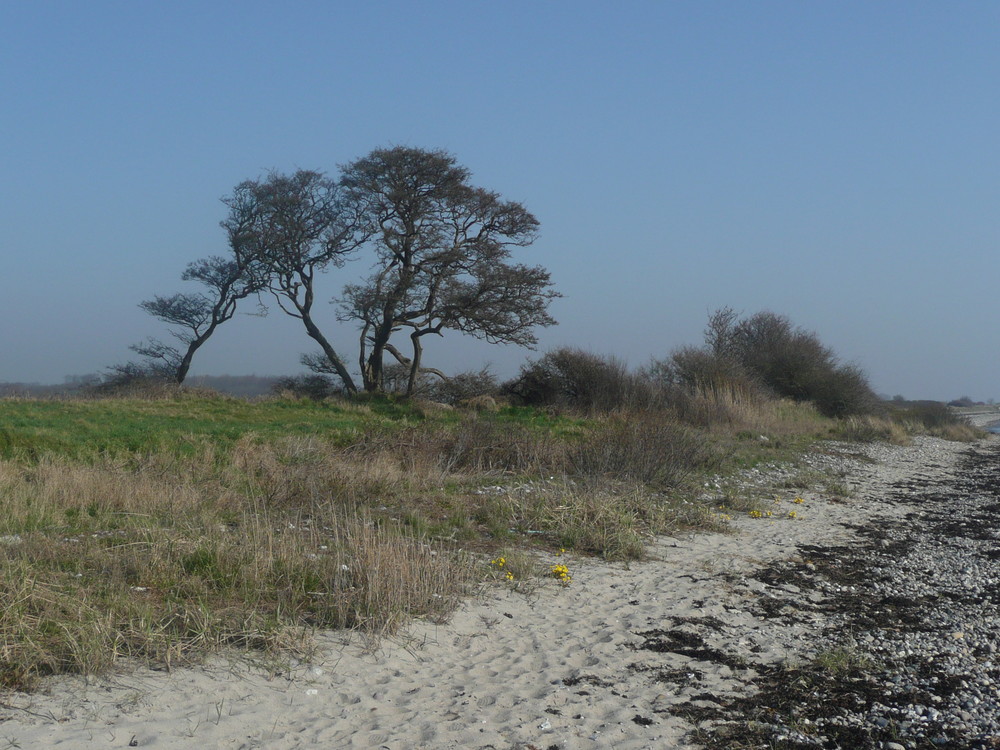 Am Strand von Bukkemose auf Langeland