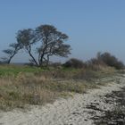 Am Strand von Bukkemose auf Langeland