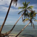 Am Strand von Cahuita