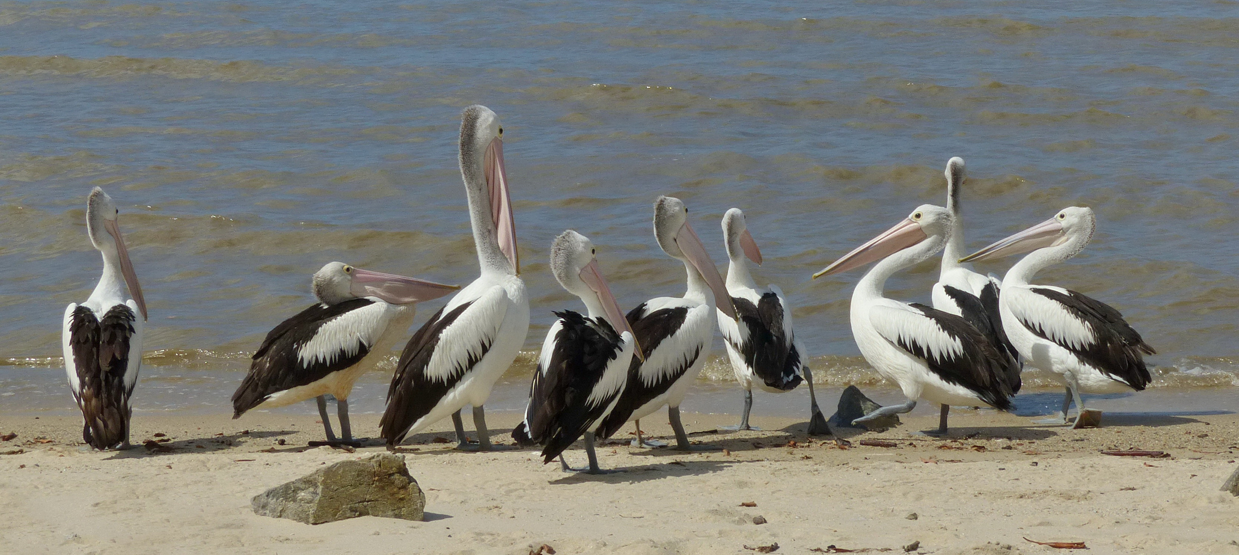 Am Strand von Cairns/ Australien