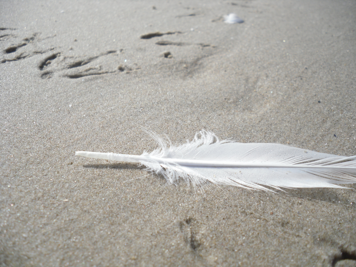 Am Strand von Callantsoog..