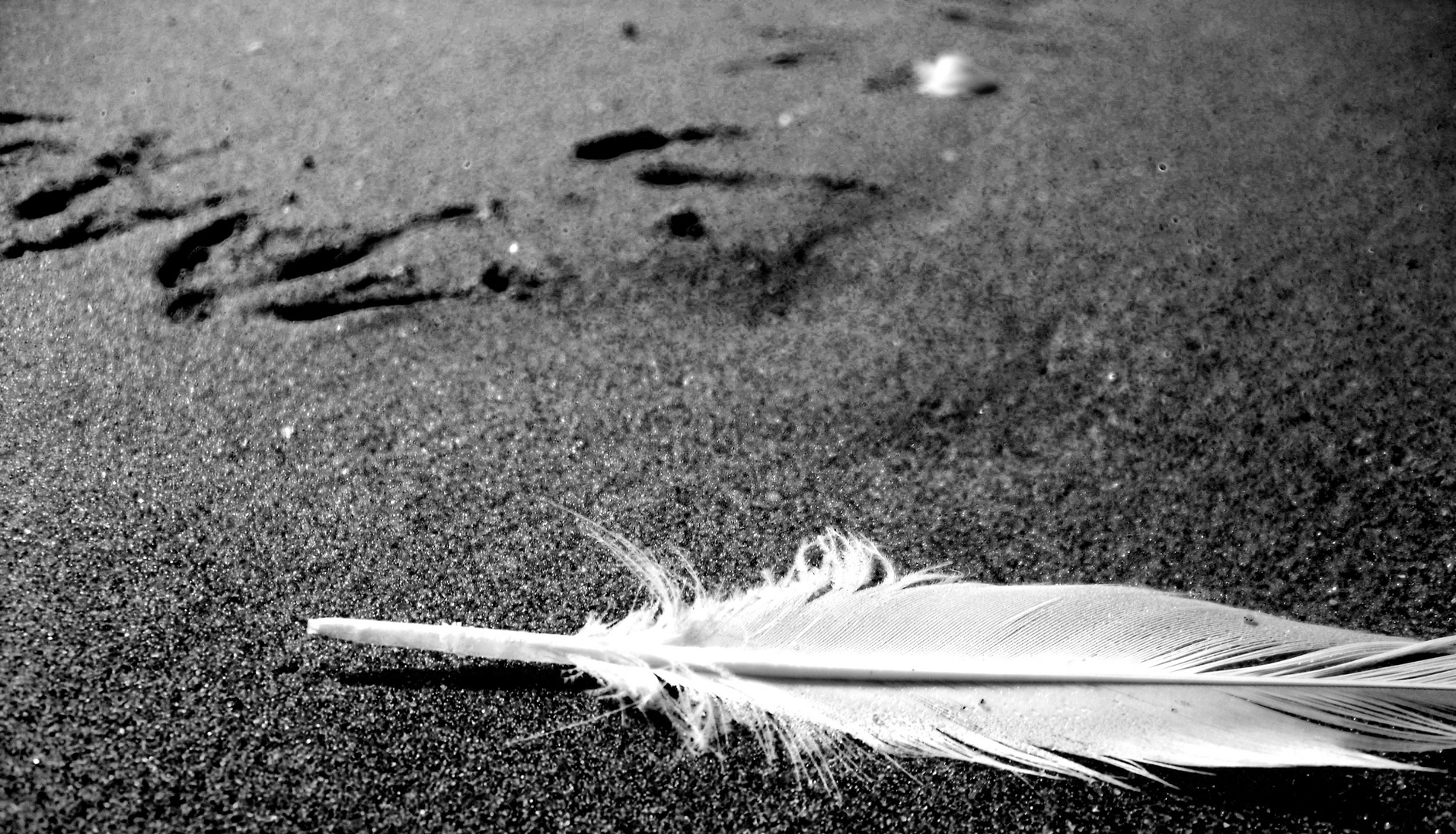 Am Strand von Callantsoog - Reloaded