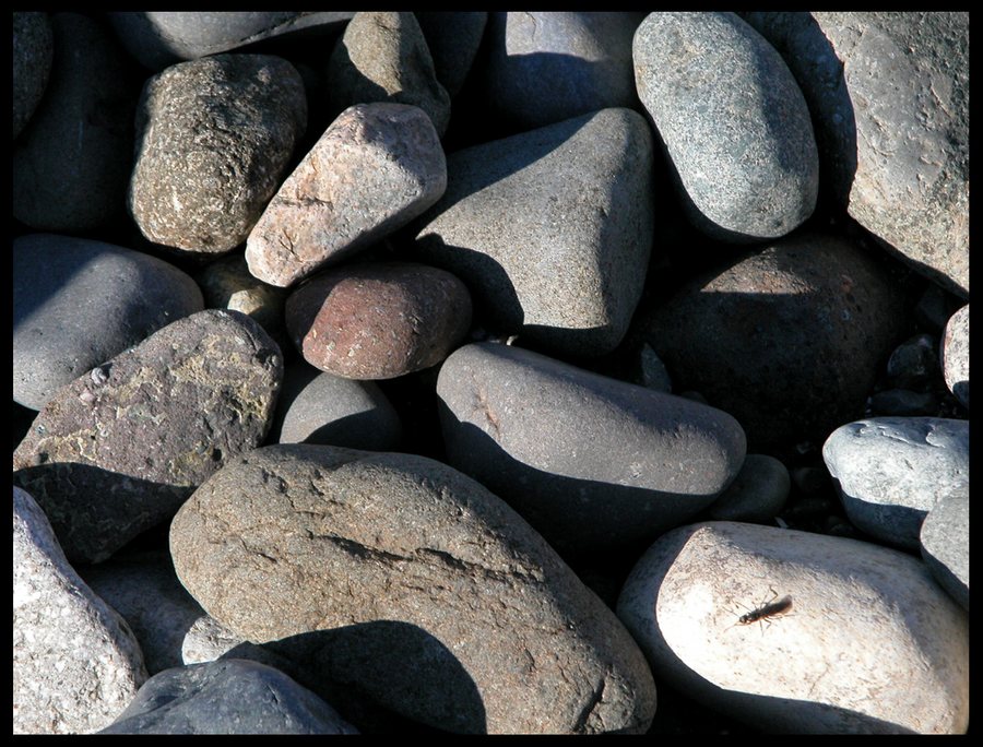 am Strand von Campell River / BC