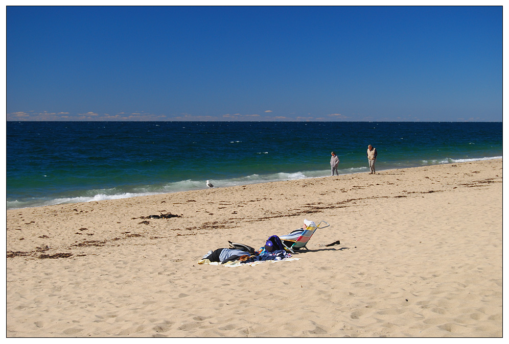 Am Strand von Cape Cod