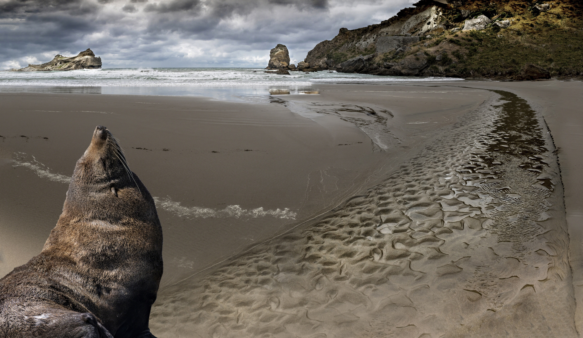 Am Strand von Castle Point