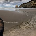 Am Strand von Castle Point