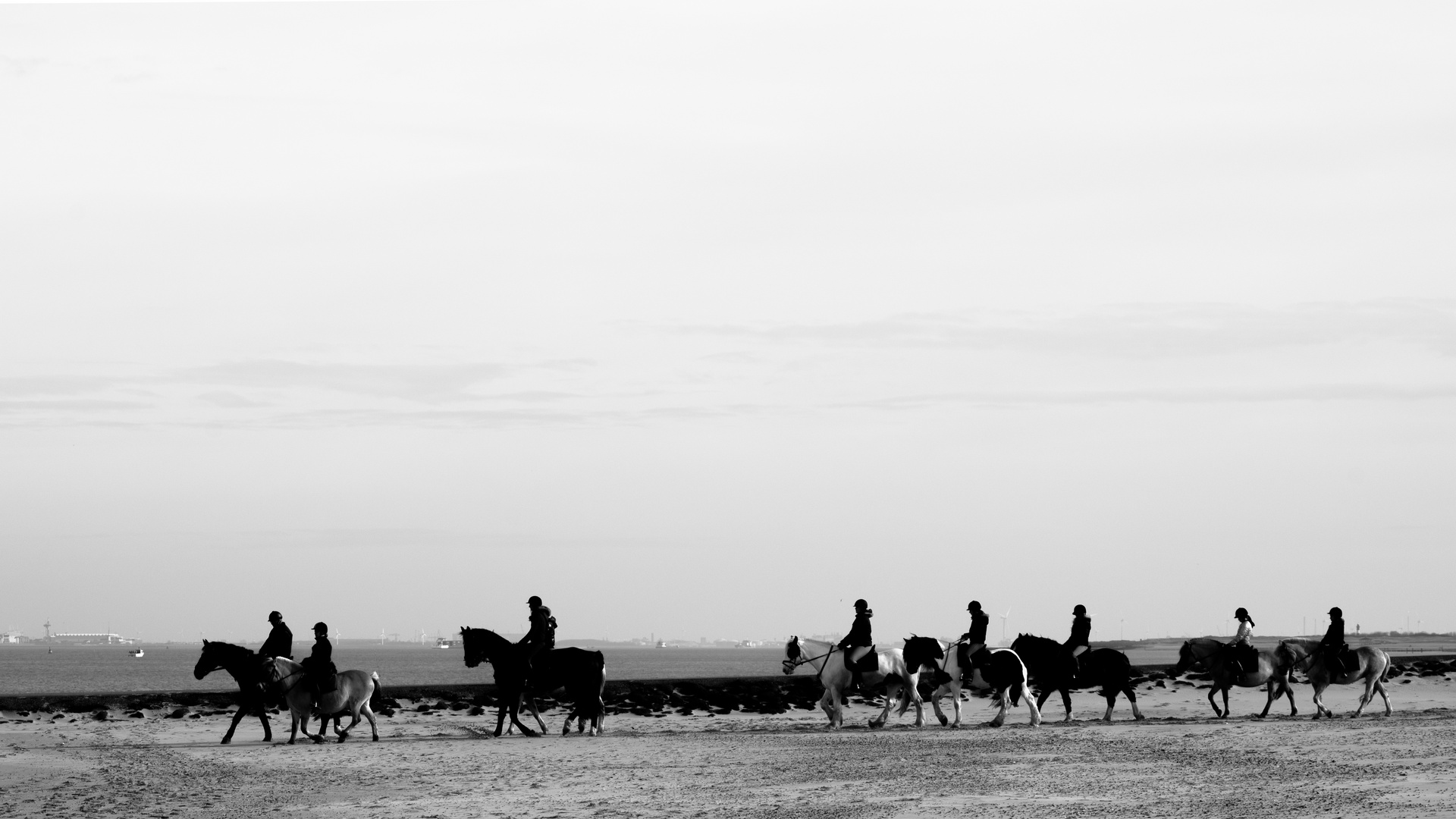 Am Strand von Catzand