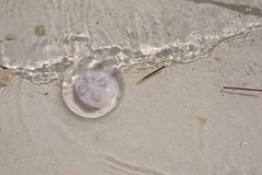 Am Strand von Coco Cay