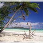 Am Strand von Cote D'Or / Praslin