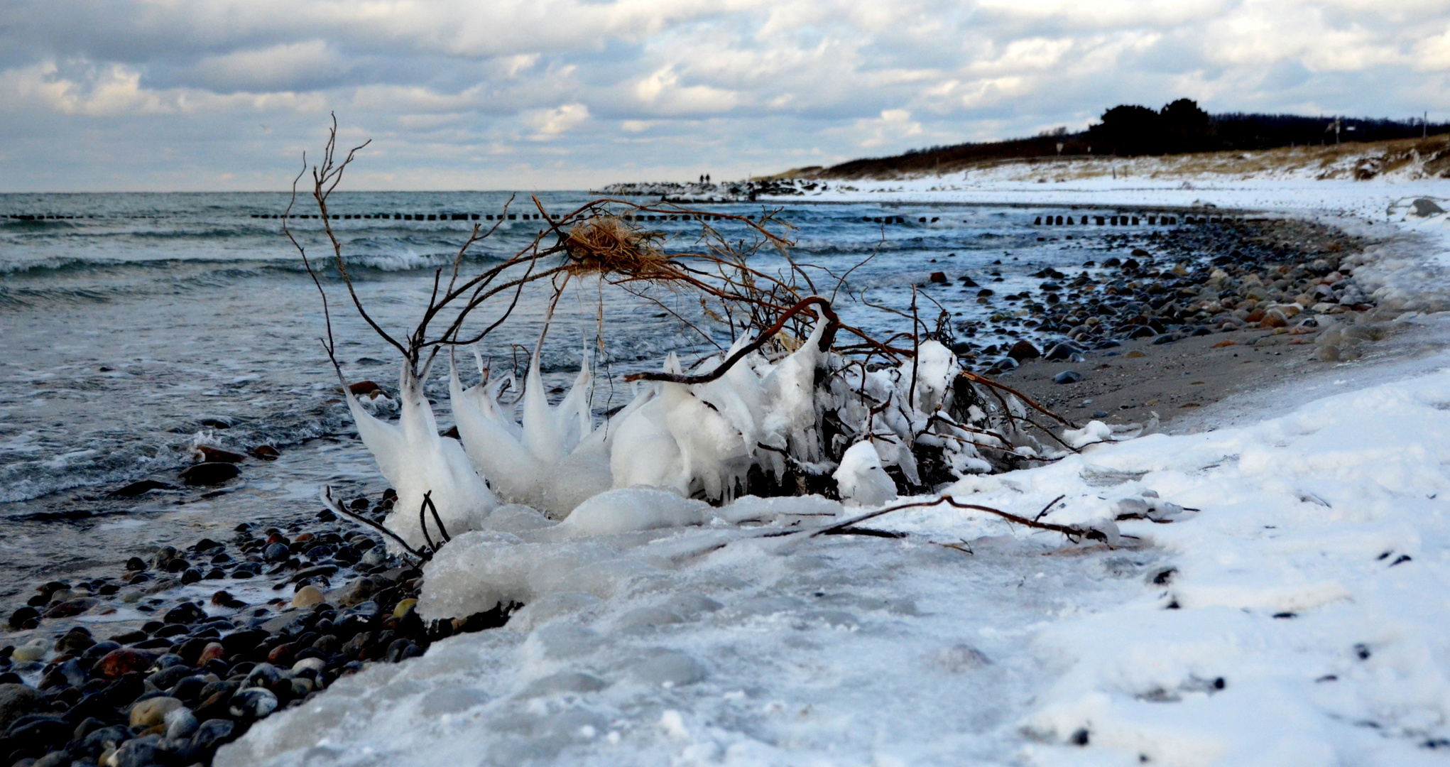 Am Strand von der Insel Hiddensee