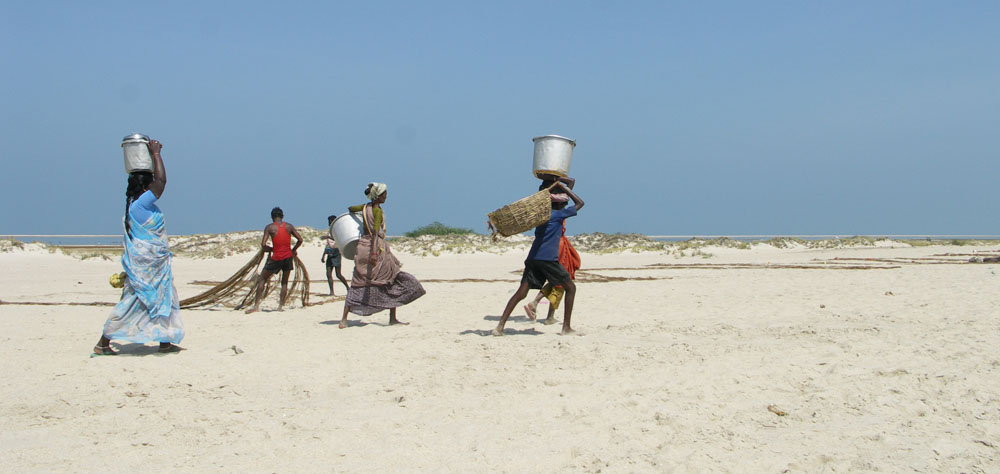 Am Strand von Dhanuskodi